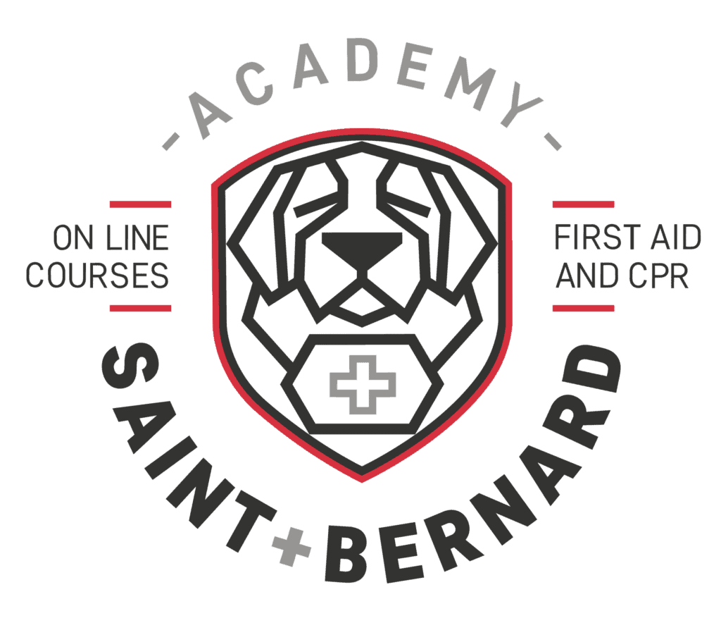 Saint-bernard Academy logo