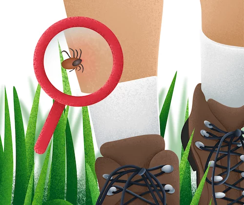 Things to know about ticks.