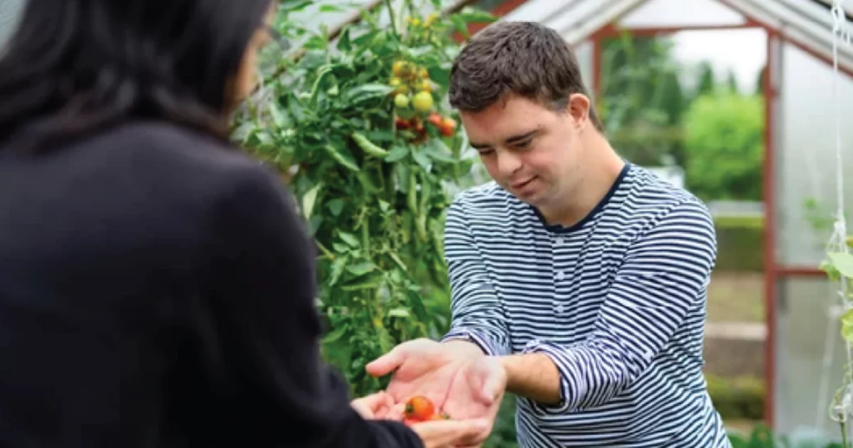 Article RTF First Aid Standards and Mandatory CPR Training