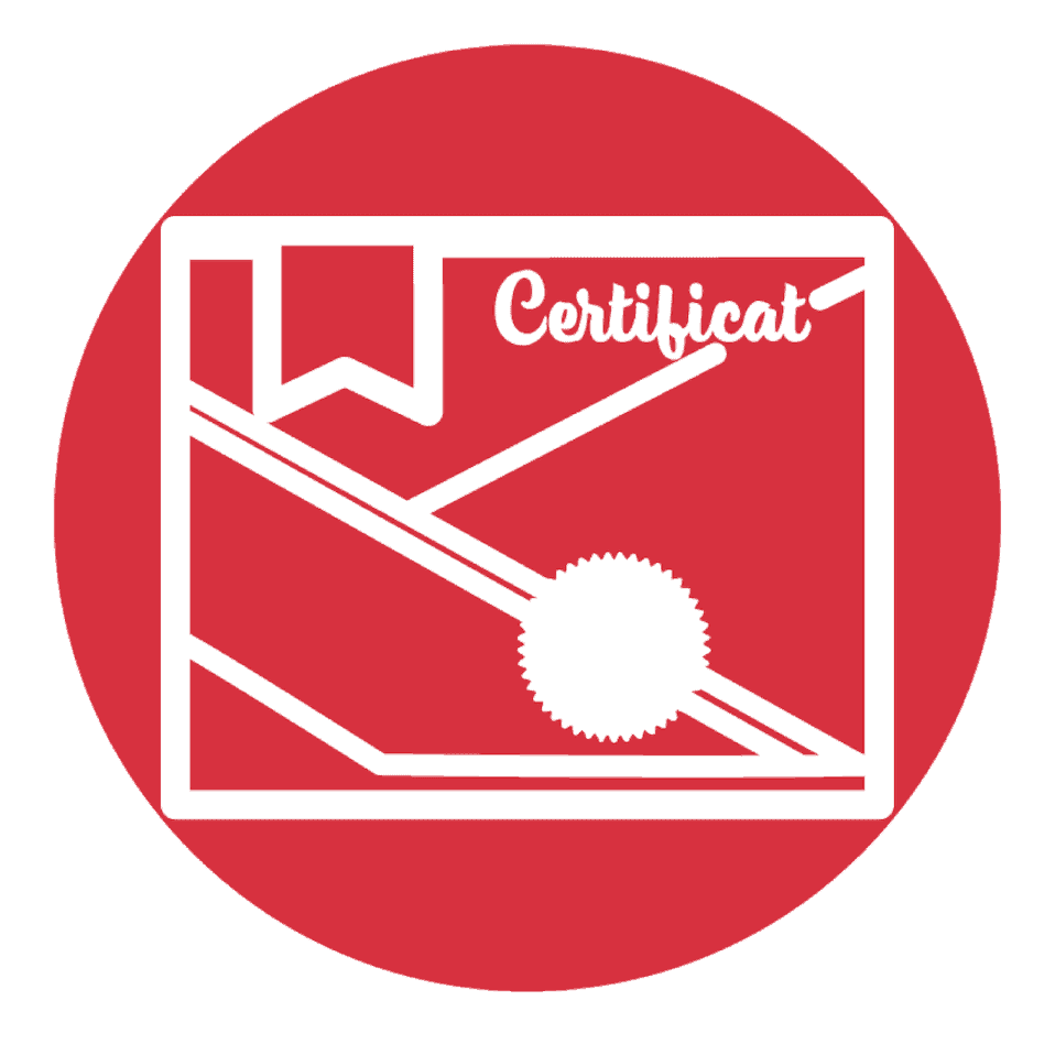 RCR Professionnel de la santé